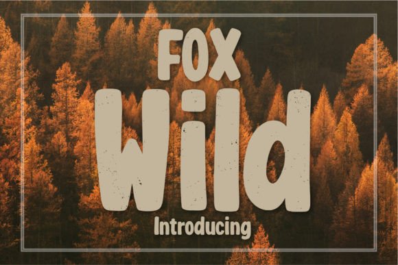 Fox Wild: A Playful Display Font That Actually Works