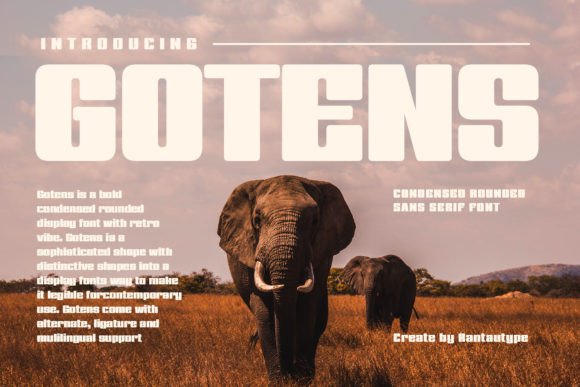 Gotens: A Bold Display Font for Editorial Impact