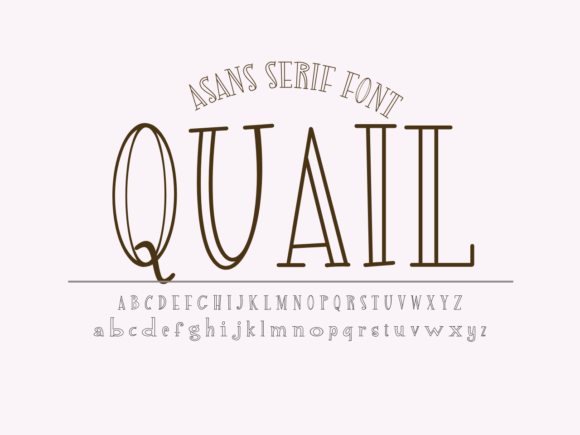 Quail: A Playful Display Font for Scroll-Stopping Marketing